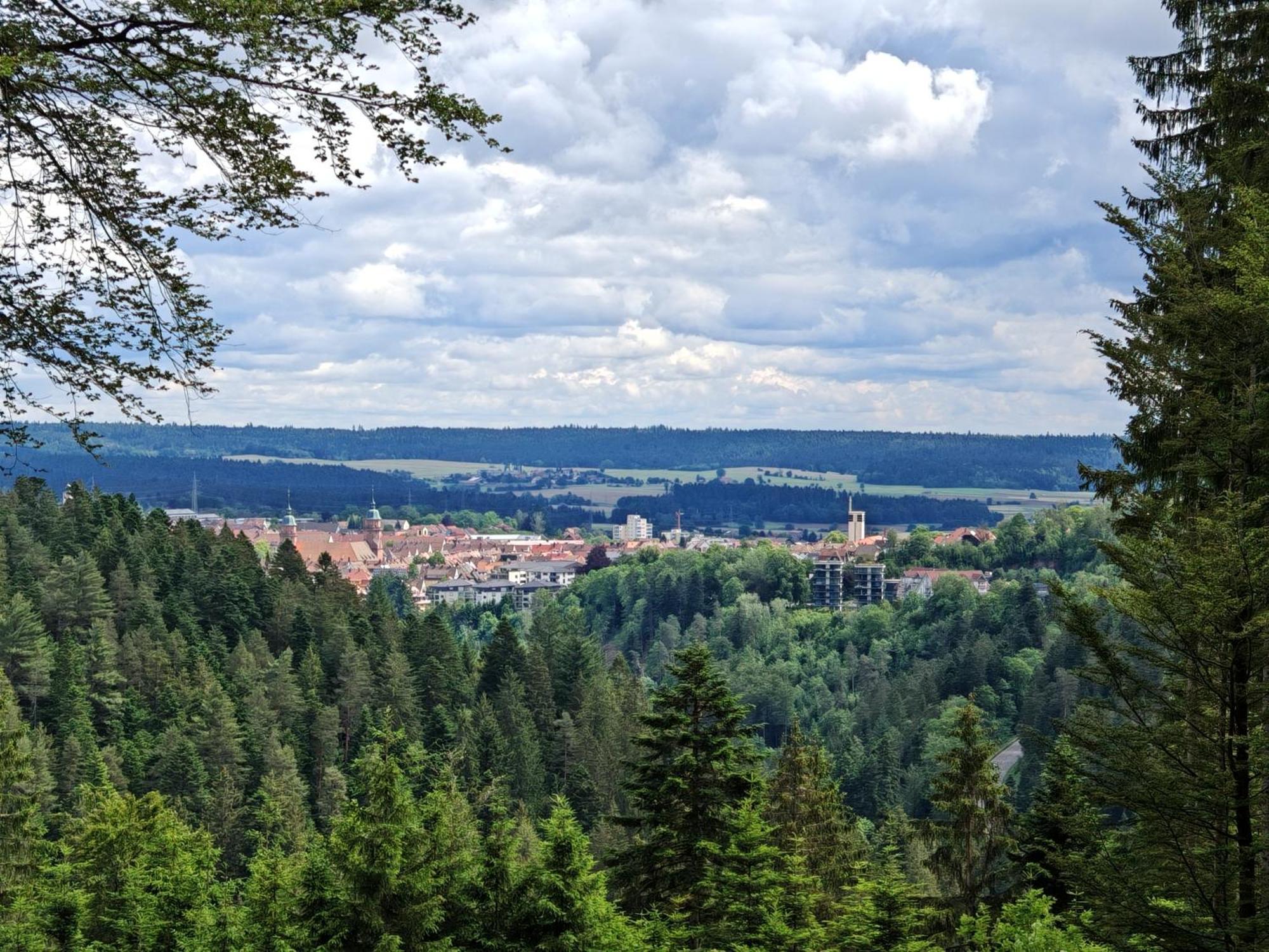 Gasthof "Zum Steinwald" Loßburg Exterior foto